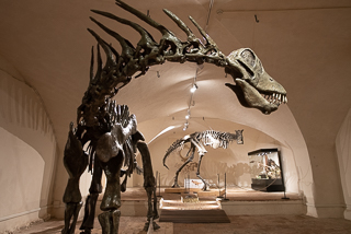 Sala dei Dinosauri